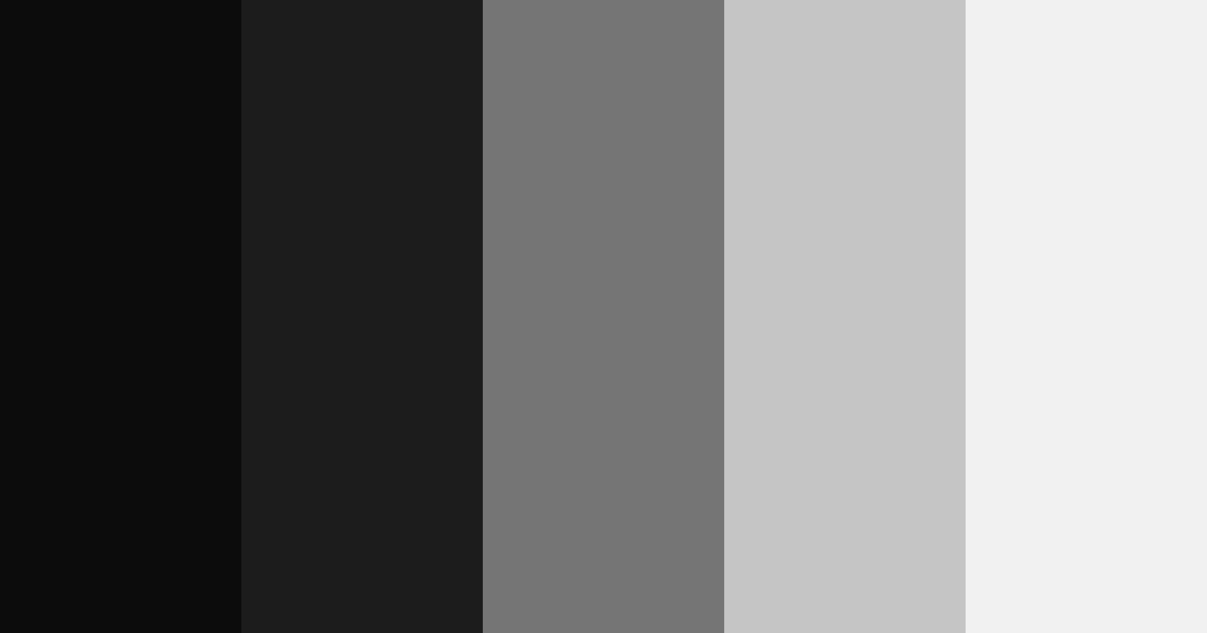 Color Palette generated based on #0C0C0C, #1C1C1C, #757575, #C5C5C5 ...