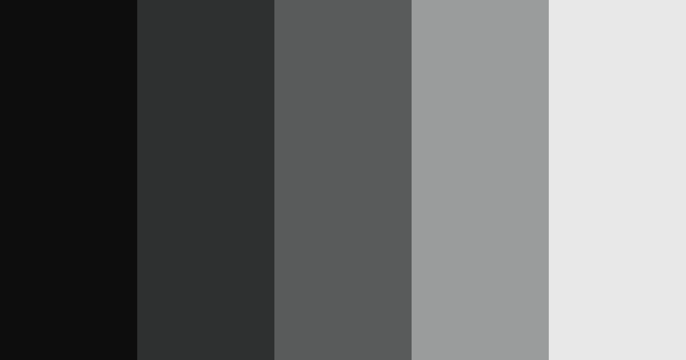 Color Palette generated based on #0D0D0D, #2E3030, #595B5B, #9A9C9C