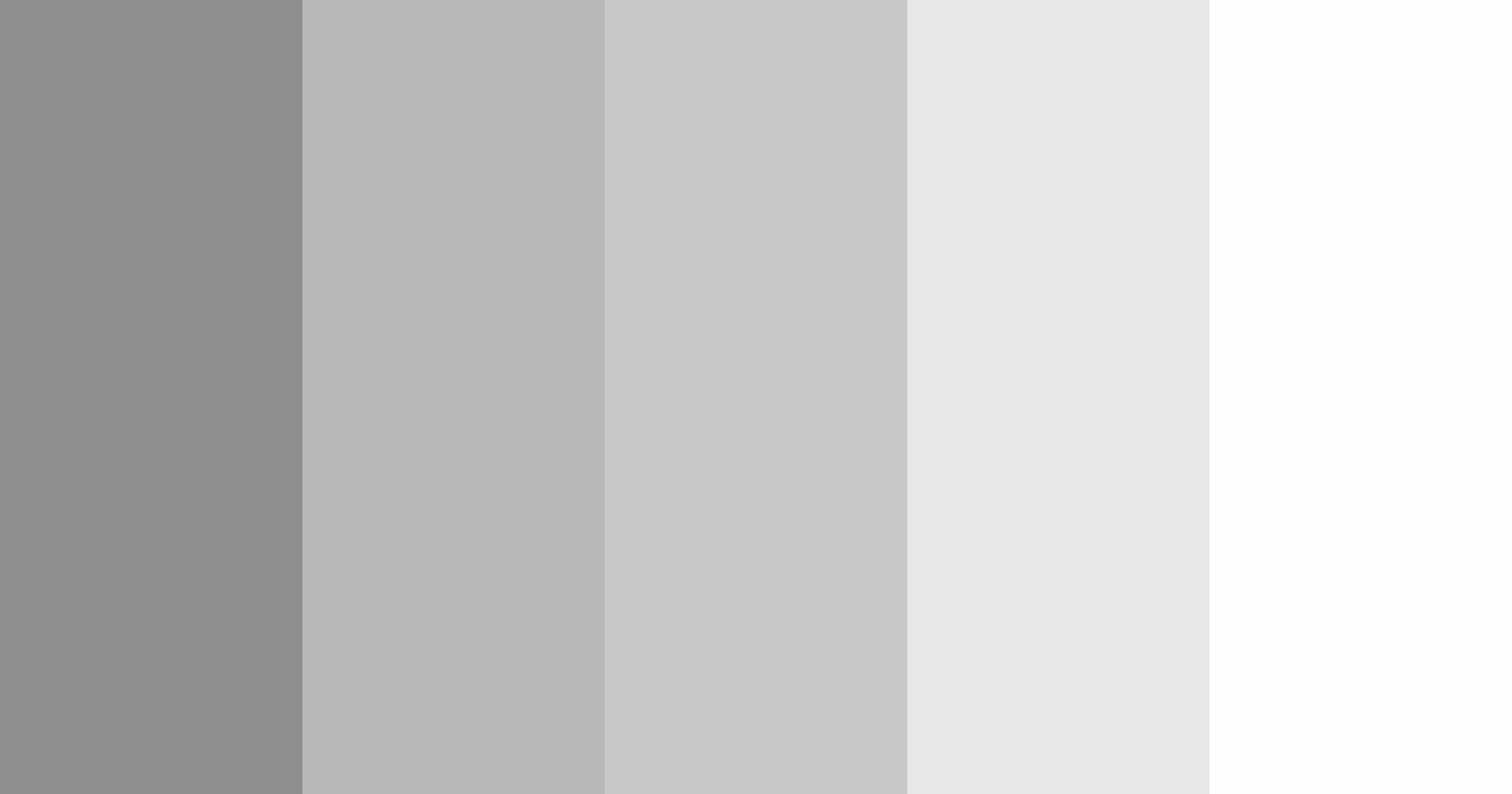 Color Palette generated based on #8F8F8F, #B8B8B8, #C8C8C8, #E7E7E7