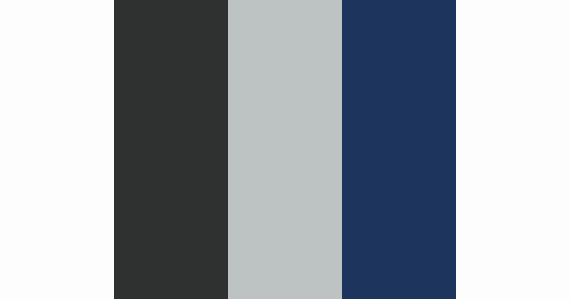 color-palette-generated-based-on-fdfdfd-2f3030-bcc3c2-1d355c